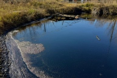 В Хабаровском крае устраняют последствия разлива мазута Амурская бассейновая природоохранная прокуратура